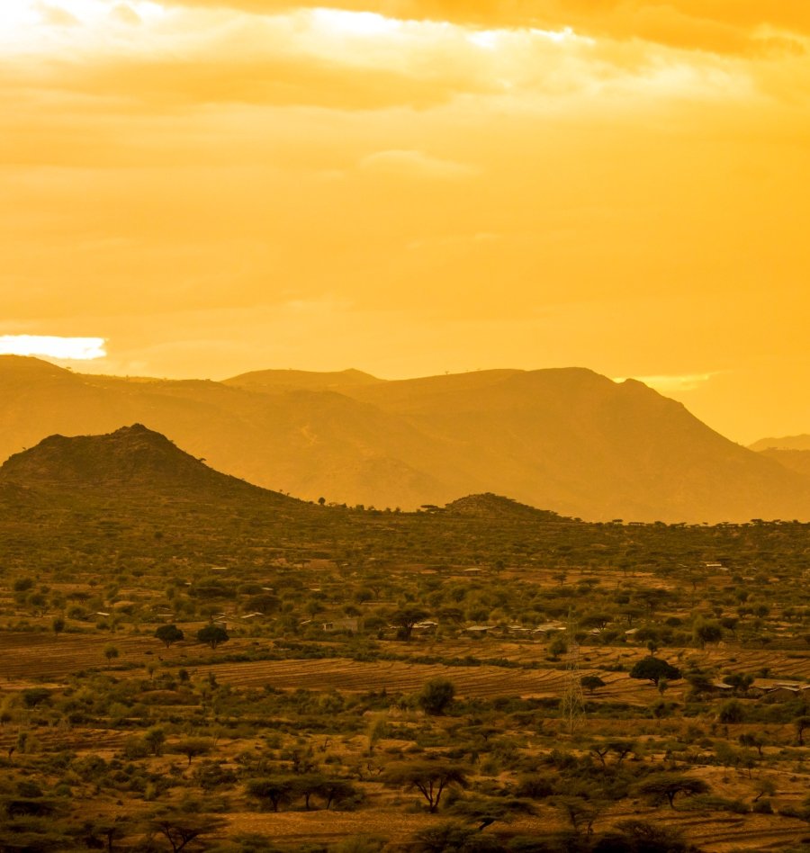 TSS profile landscape visual